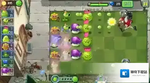 植物大战僵尸2窝瓜