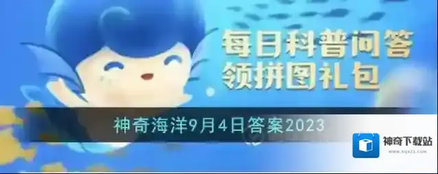 支付宝水管