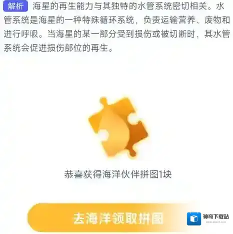 支付宝海星