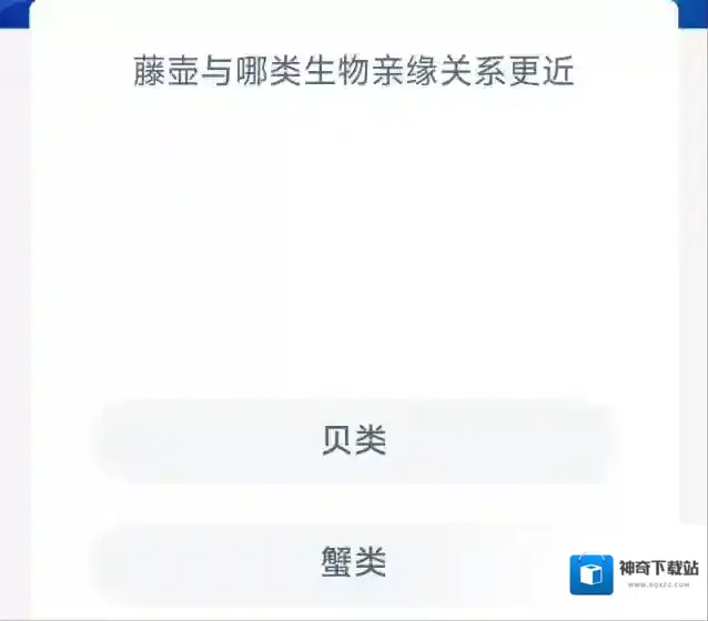 支付宝亲缘关系