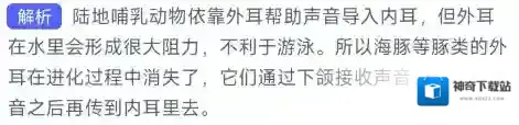 支付宝下颌
