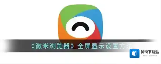 微米浏览器选项