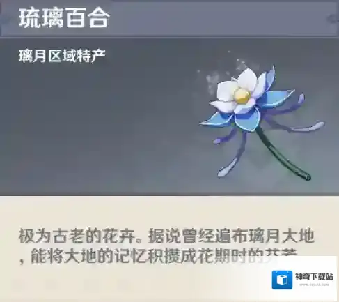 原神琉璃百合在哪 分布地点与获取方法攻略