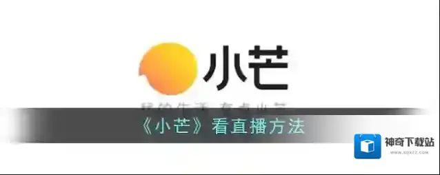 小芒app小芒
