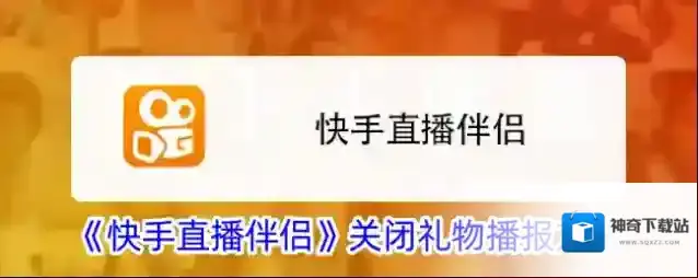 快手直播伴侣播报