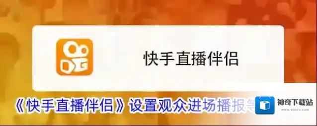 快手直播伴侣观众