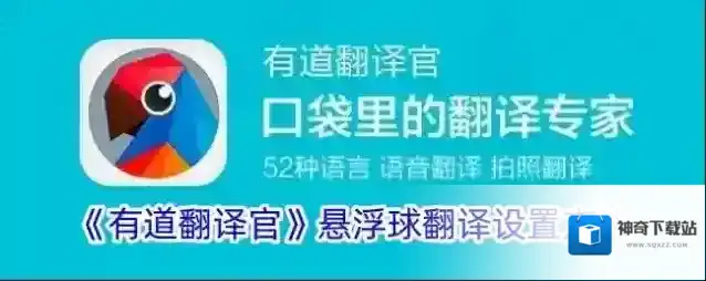 有道翻译官就可以